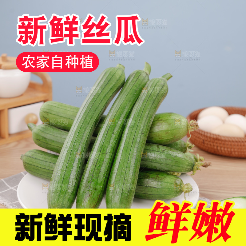 丝瓜