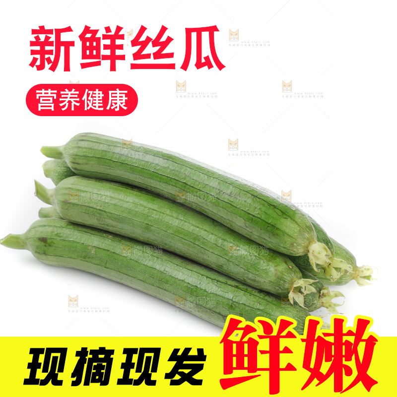 丝瓜
