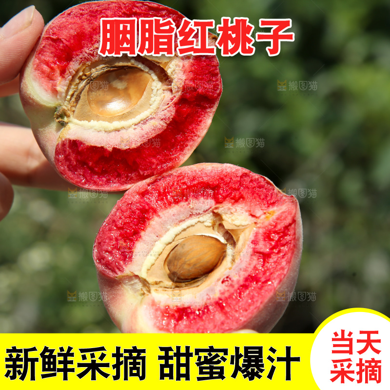 胭脂红桃子