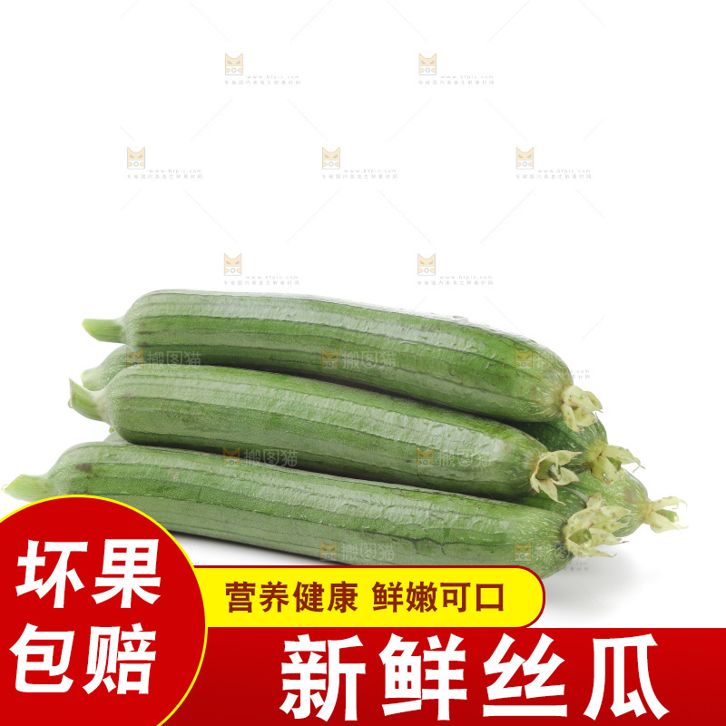 丝瓜