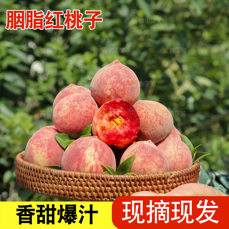 胭脂红桃子