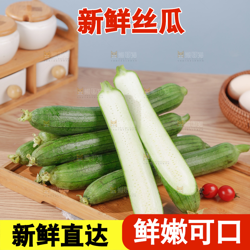 丝瓜