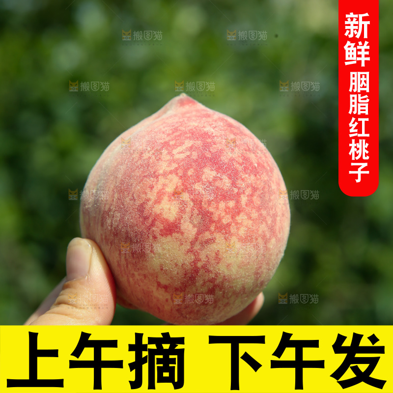 胭脂红桃子