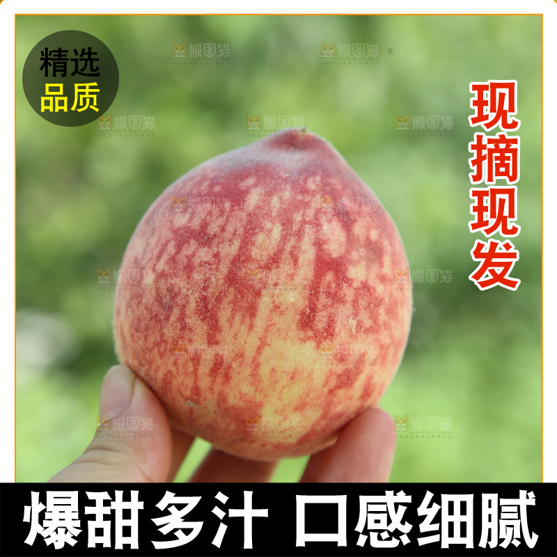 胭脂红桃子