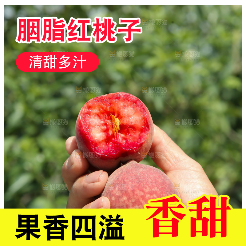 胭脂红桃子
