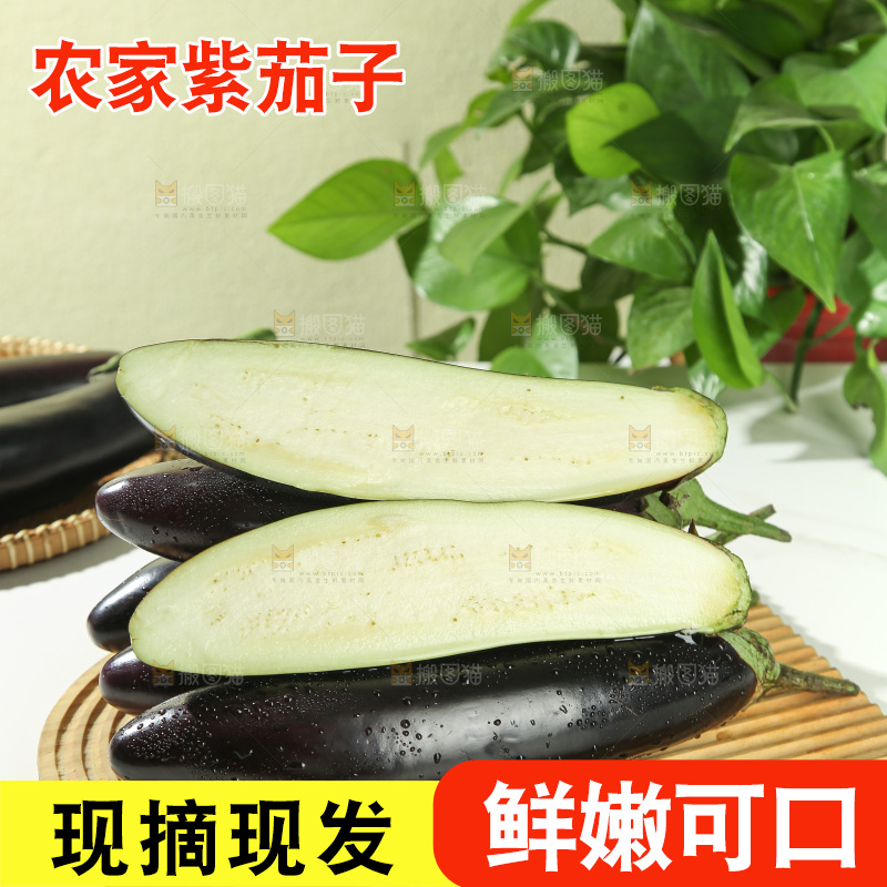 茄子