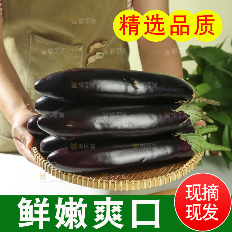 茄子