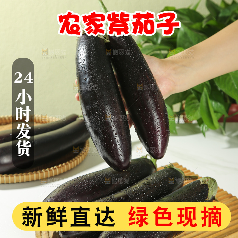 茄子