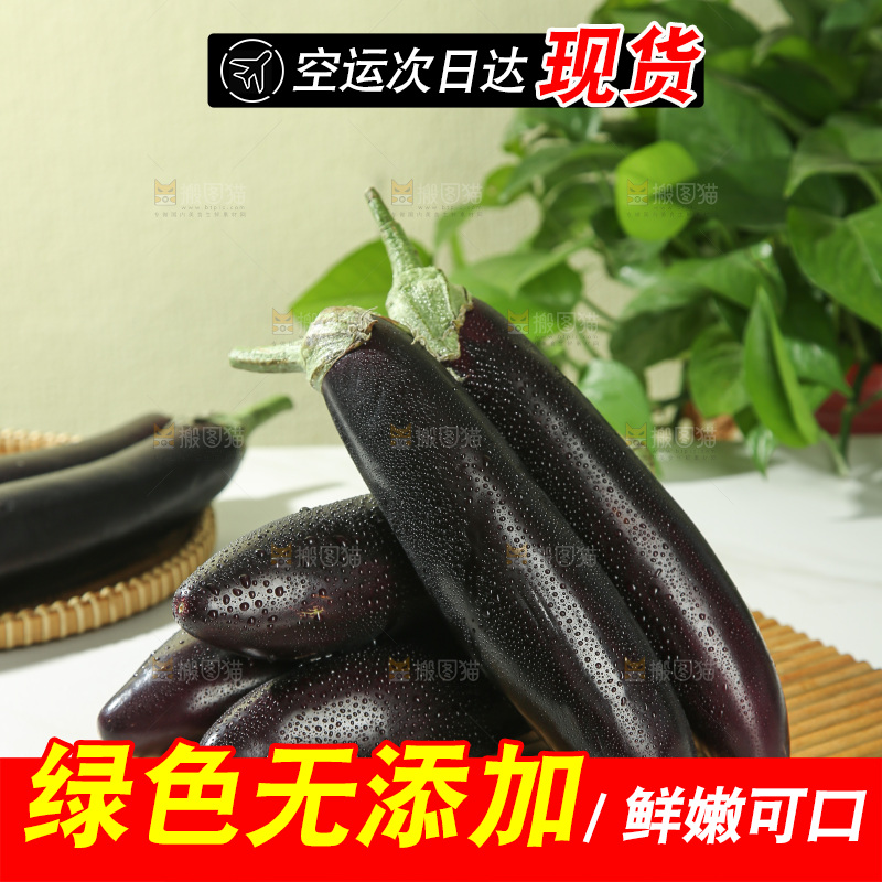 茄子