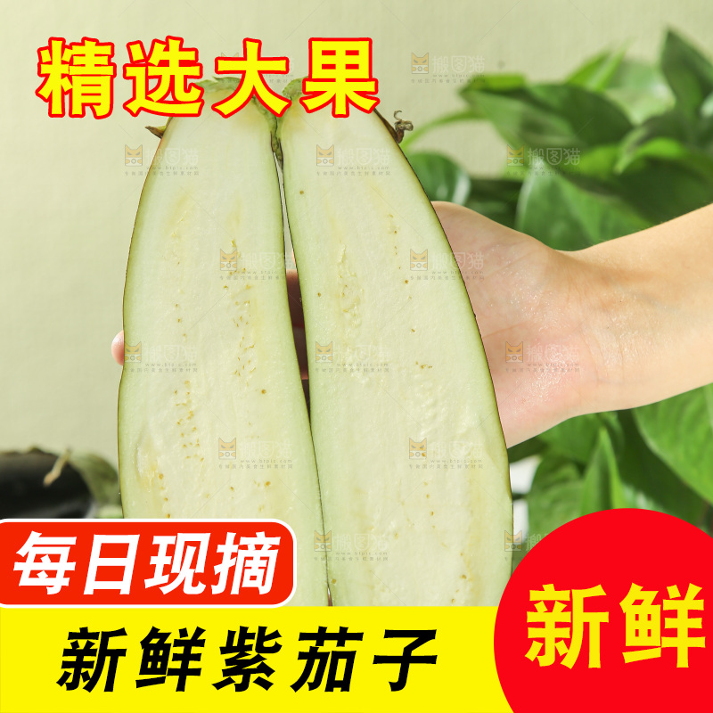 茄子