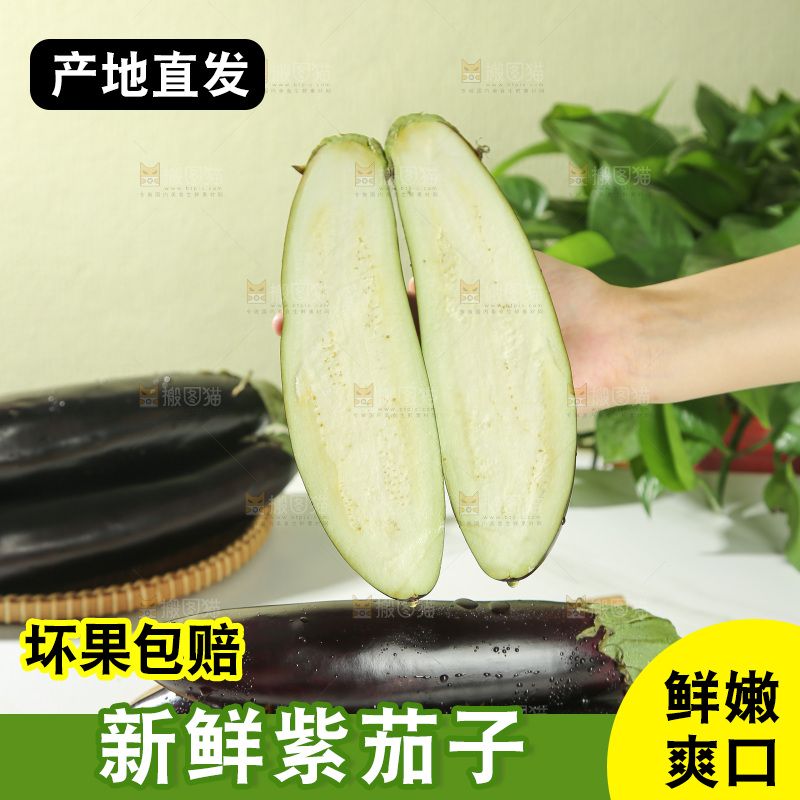 茄子