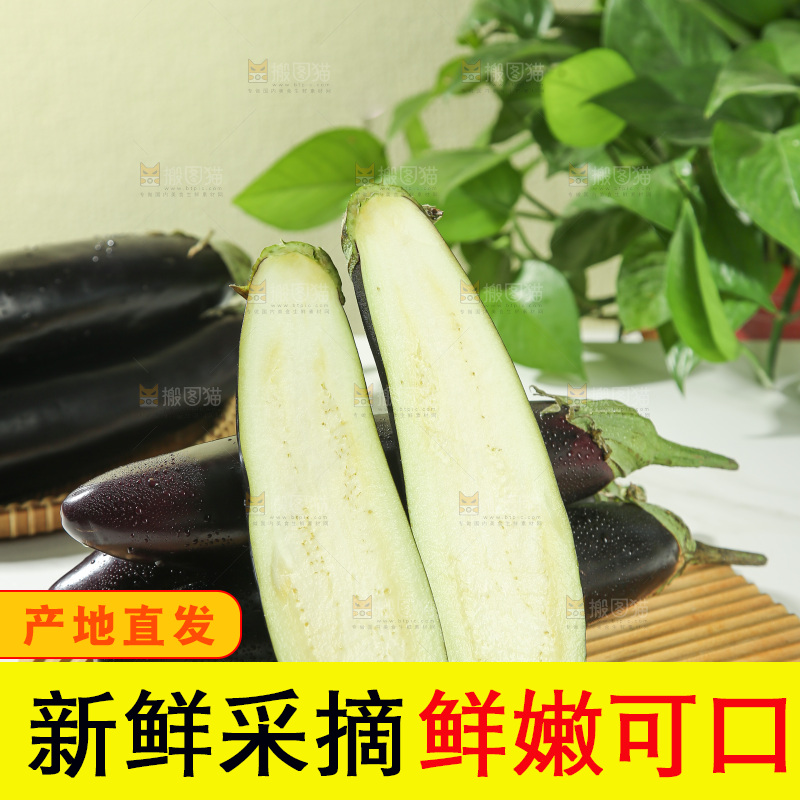 茄子