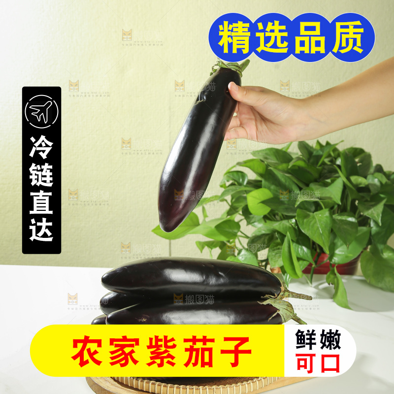 茄子