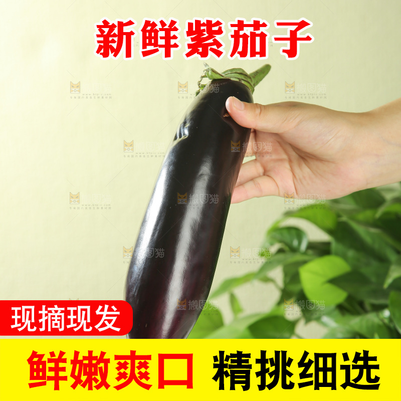 茄子