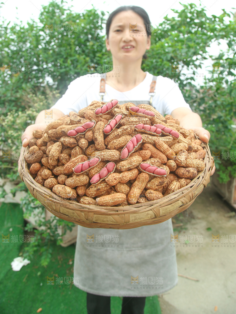 红皮花生