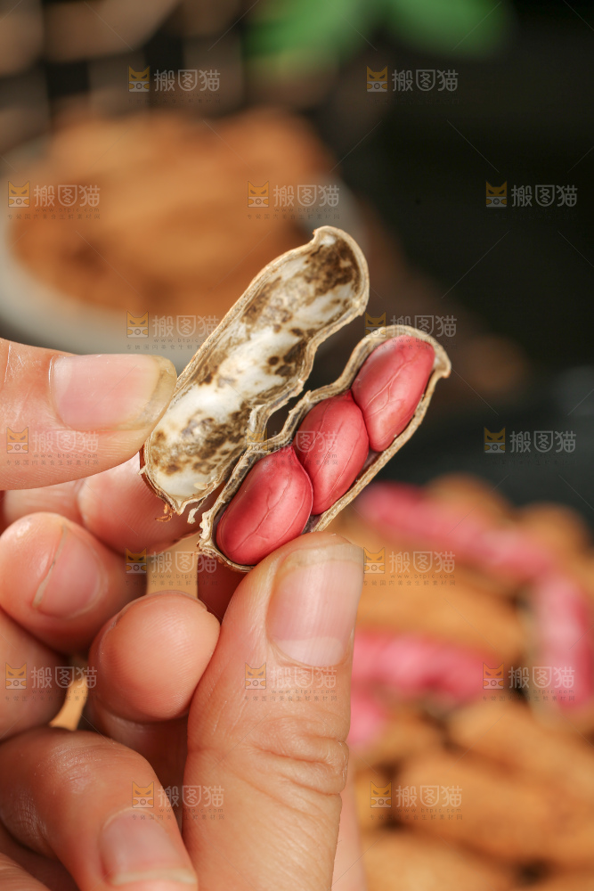 红皮花生