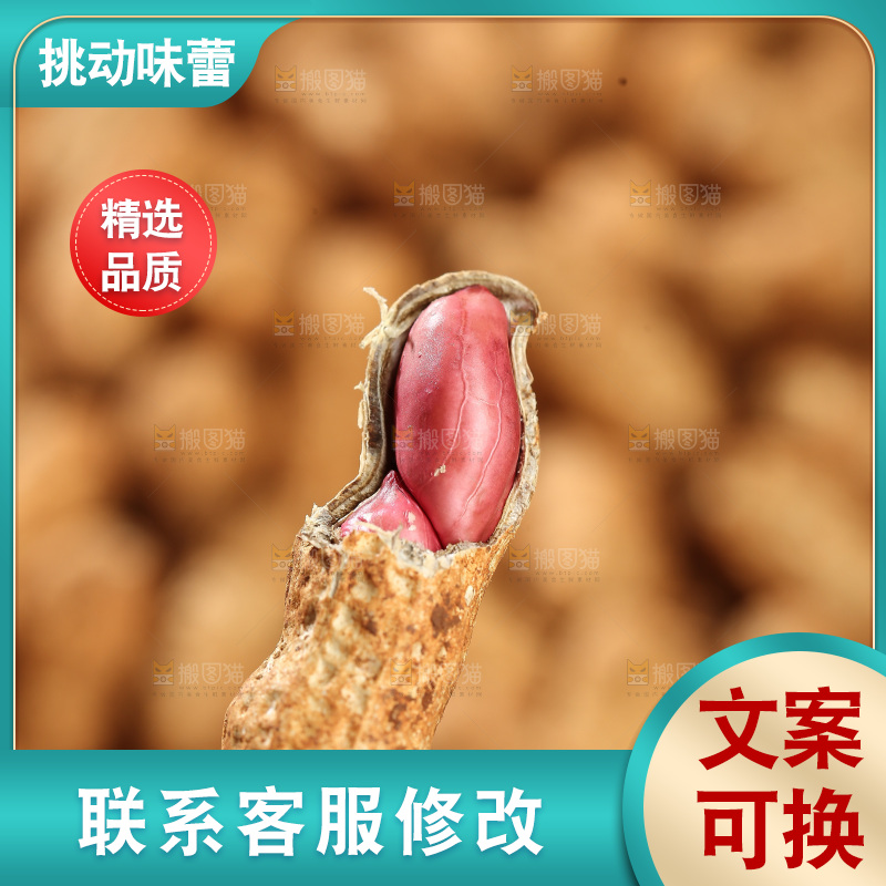 红皮花生