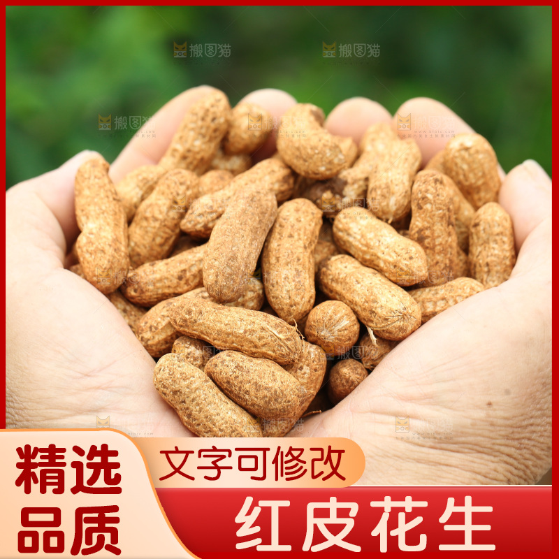 红皮花生
