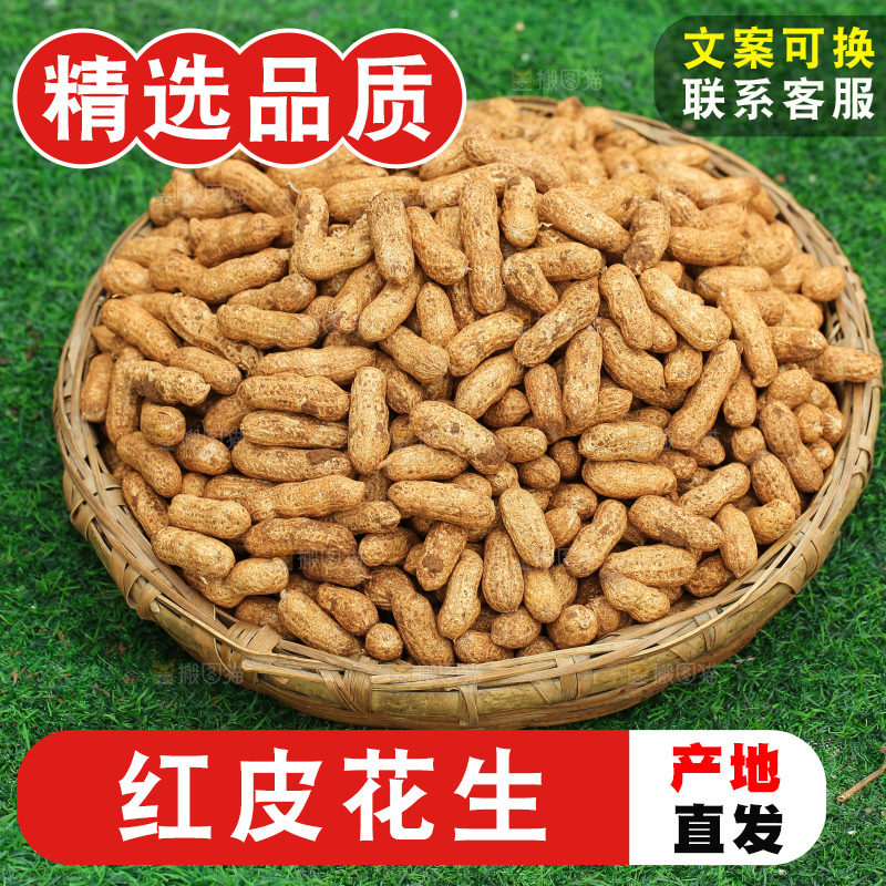 红皮花生