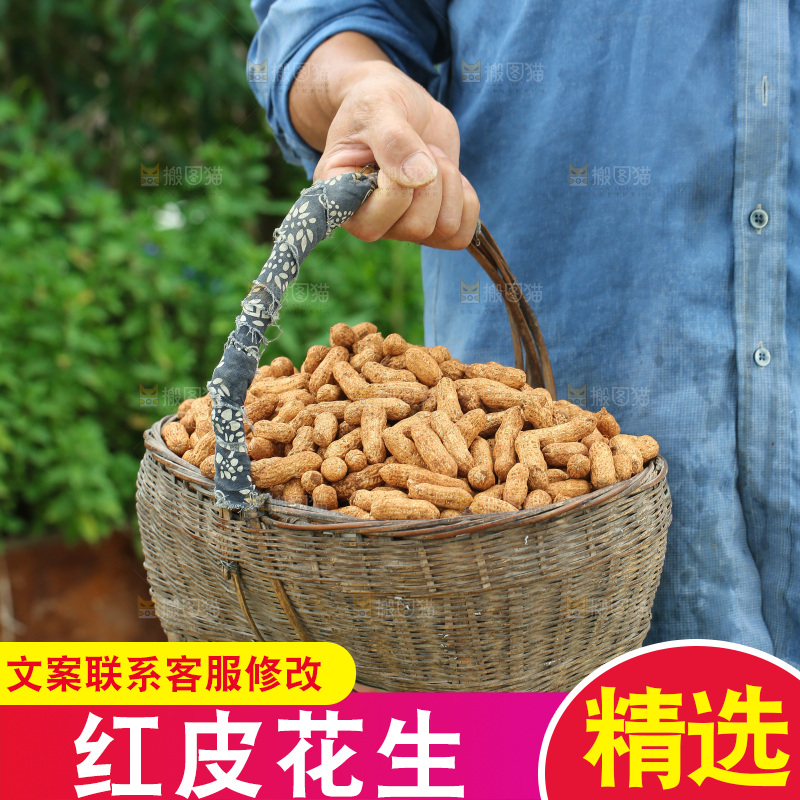 红皮花生