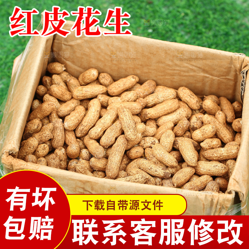 红皮花生