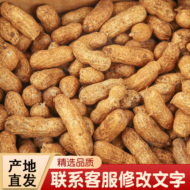 红皮花生