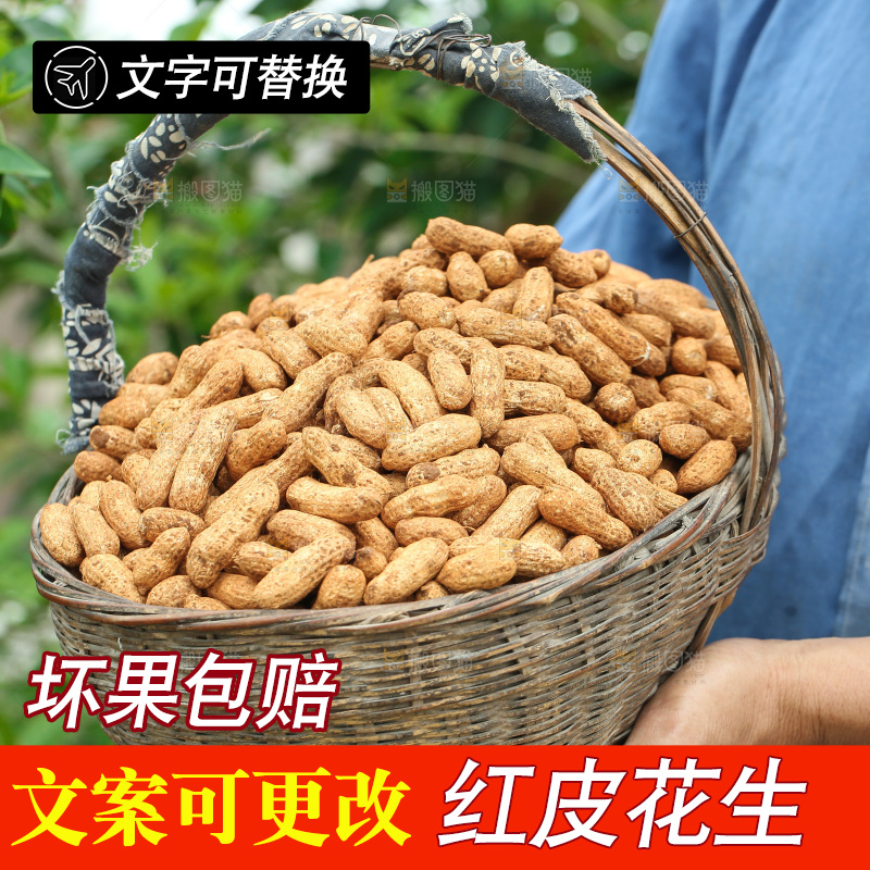 红皮花生