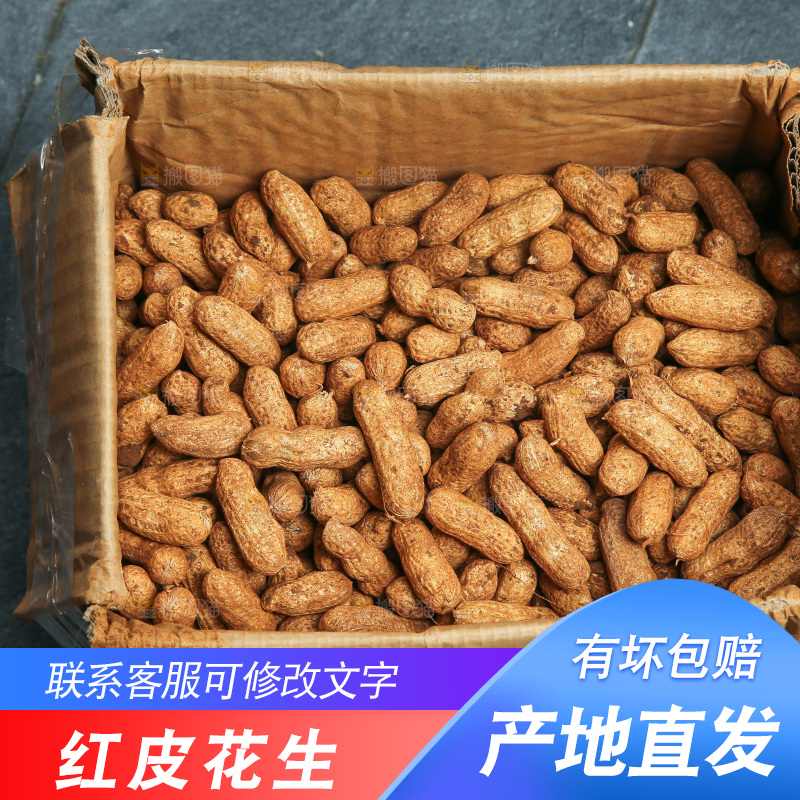 红皮花生