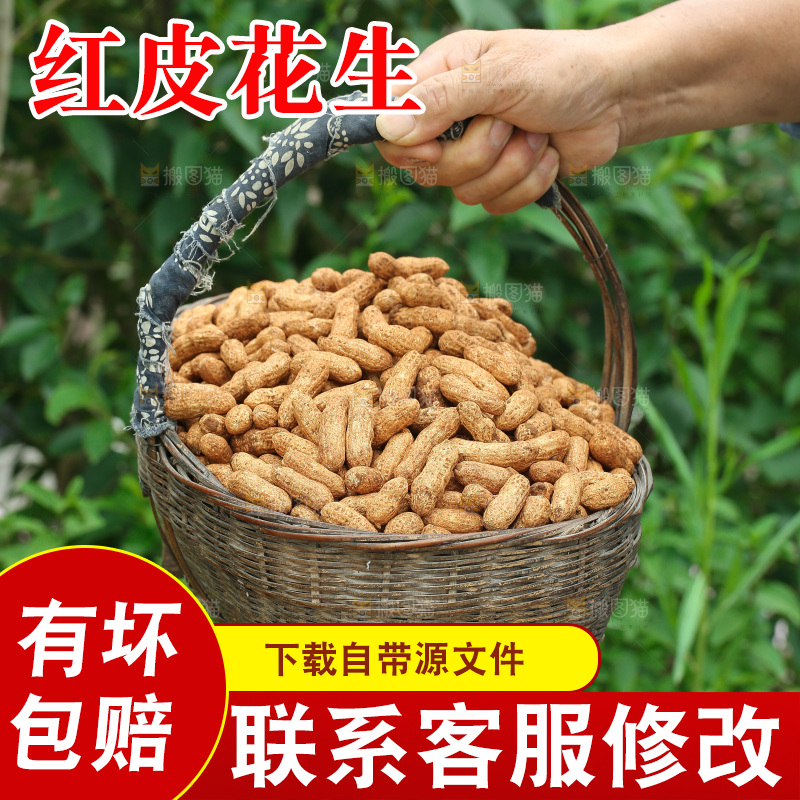 红皮花生