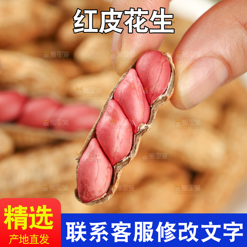 红皮花生