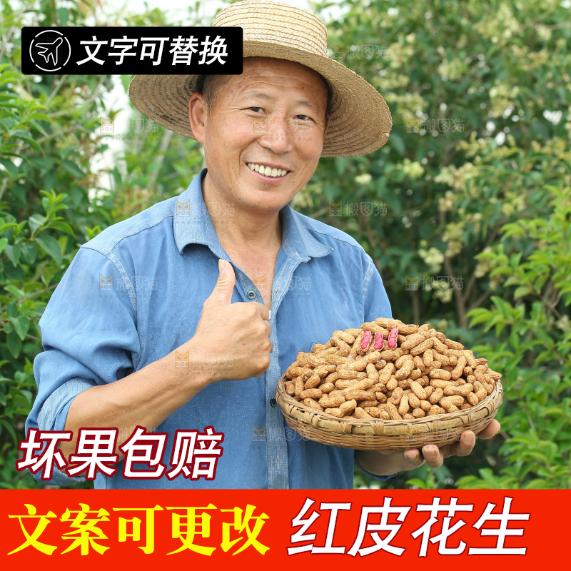 红皮花生