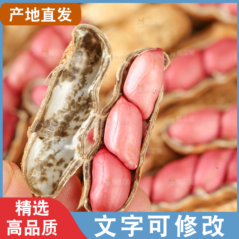 红皮花生