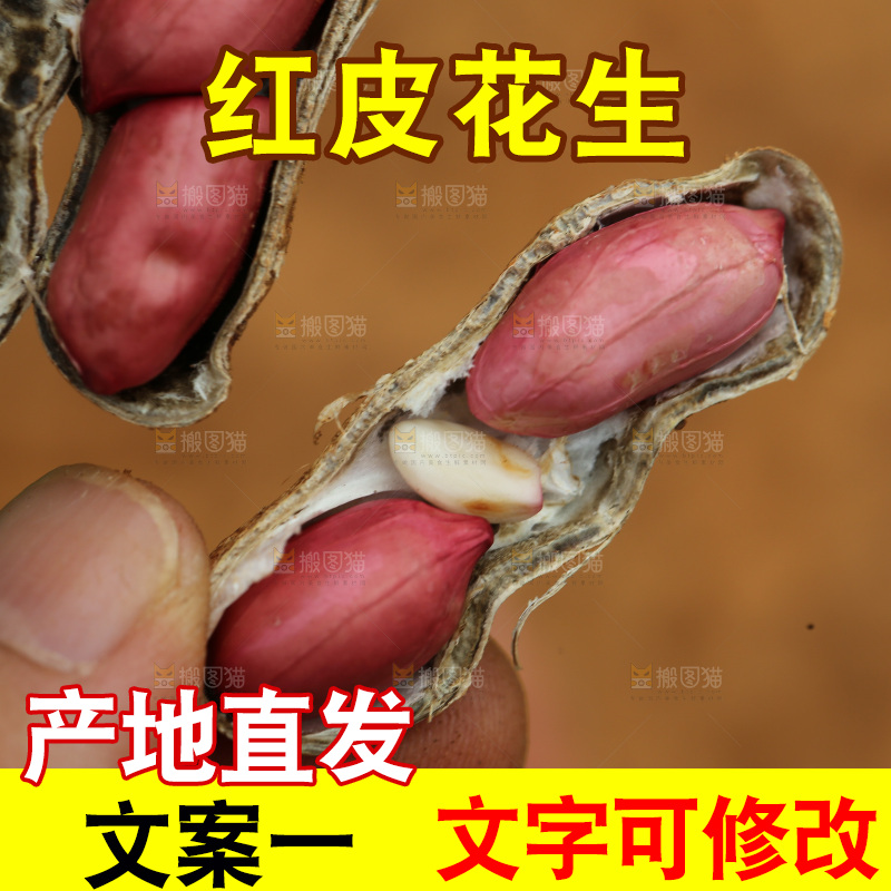 红皮花生