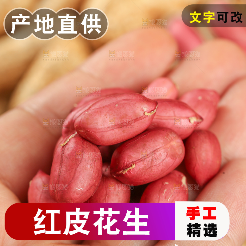 红皮花生