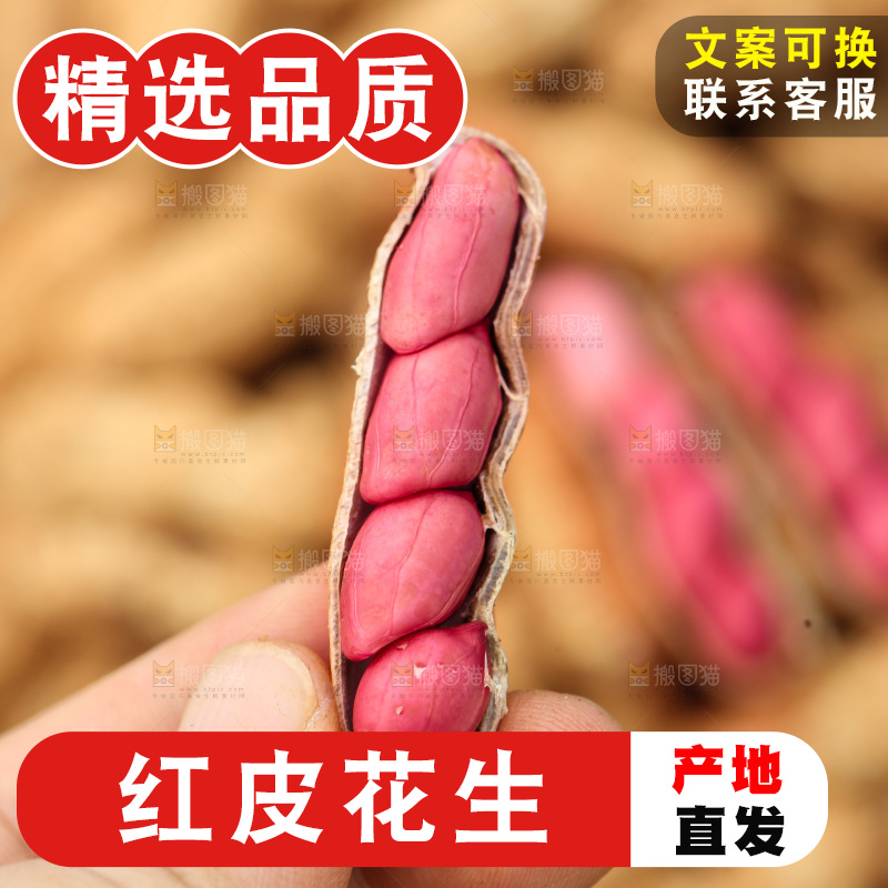 红皮花生
