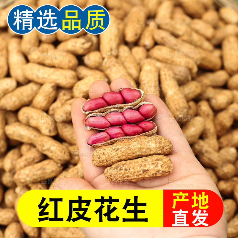 红皮花生