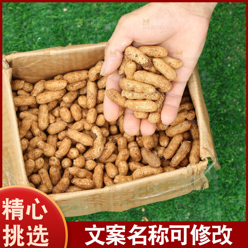 红皮花生