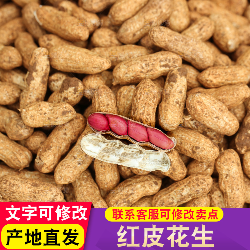 红皮花生