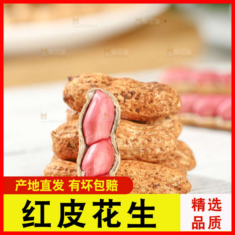 红皮花生