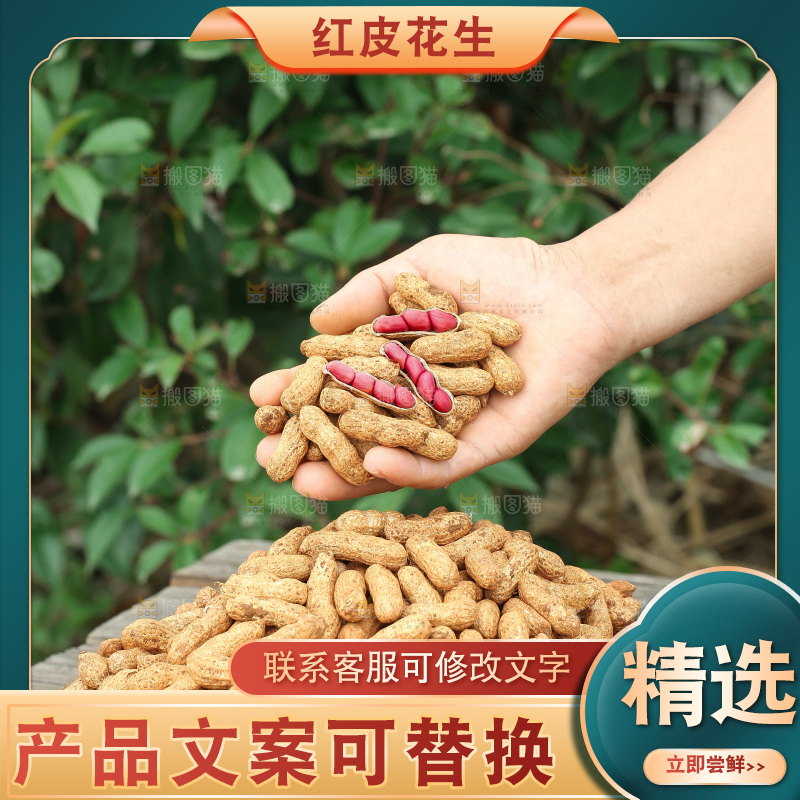 红皮花生