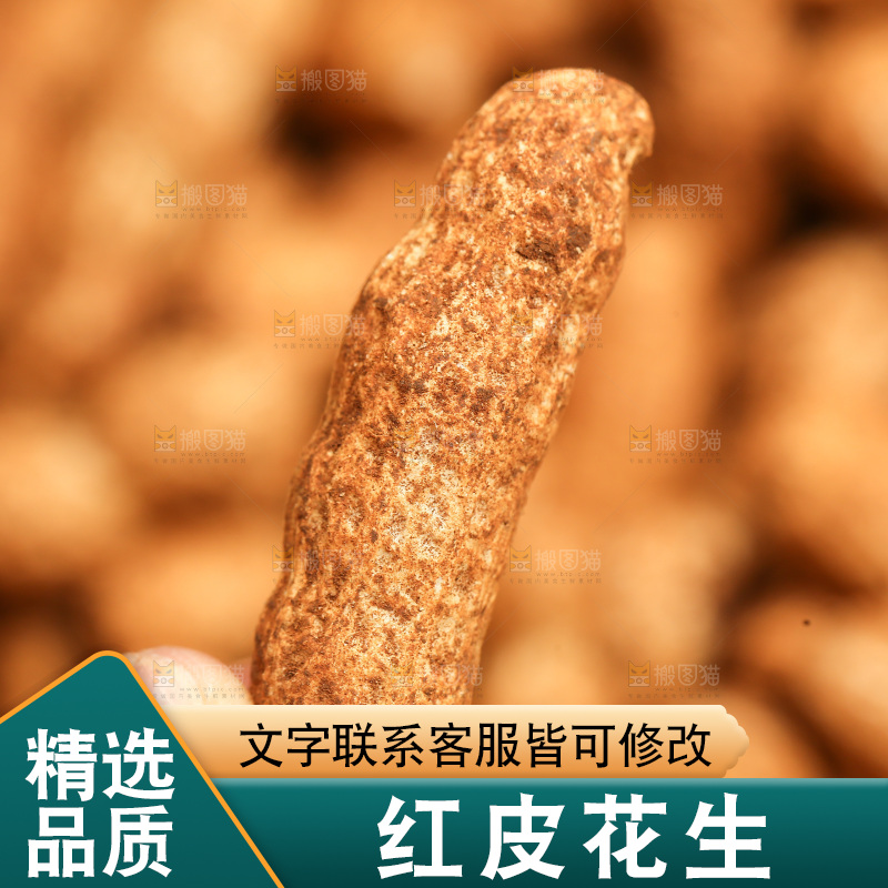 红皮花生