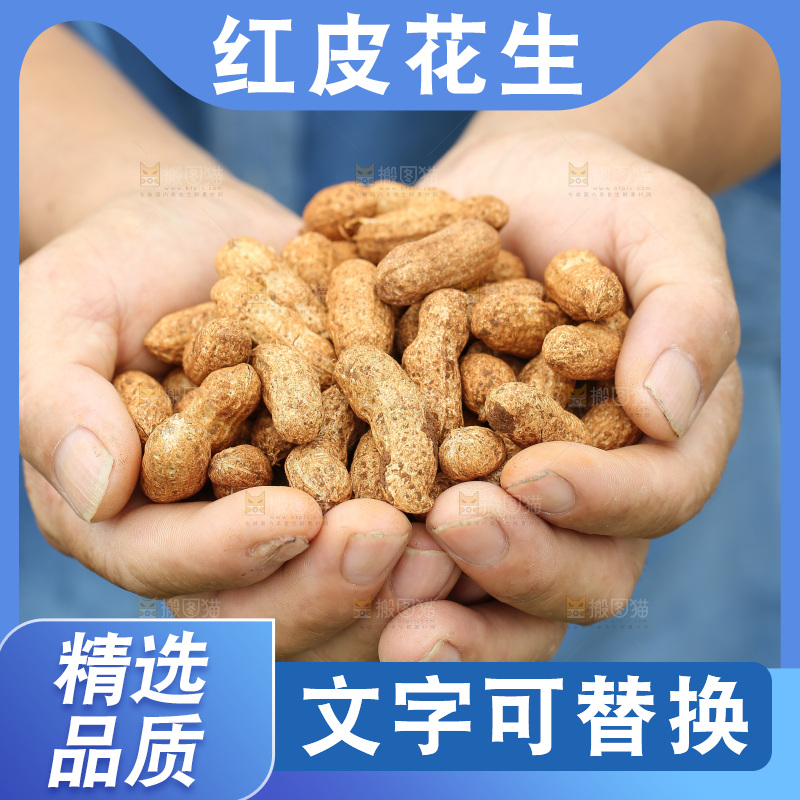 红皮花生