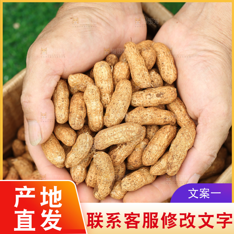 红皮花生