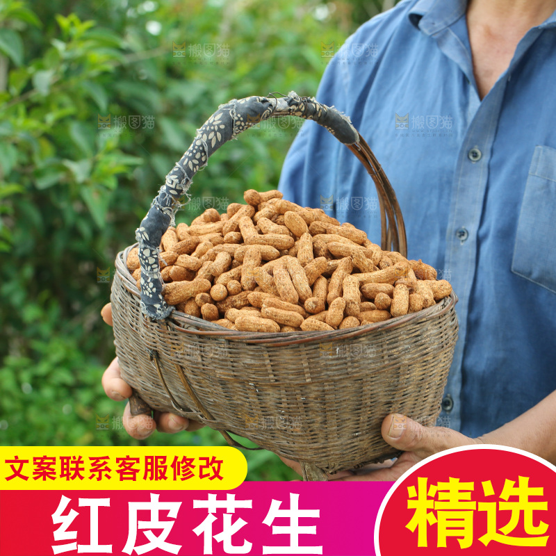 红皮花生