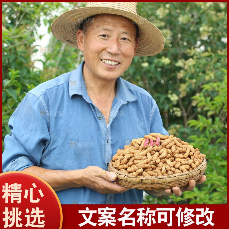 红皮花生