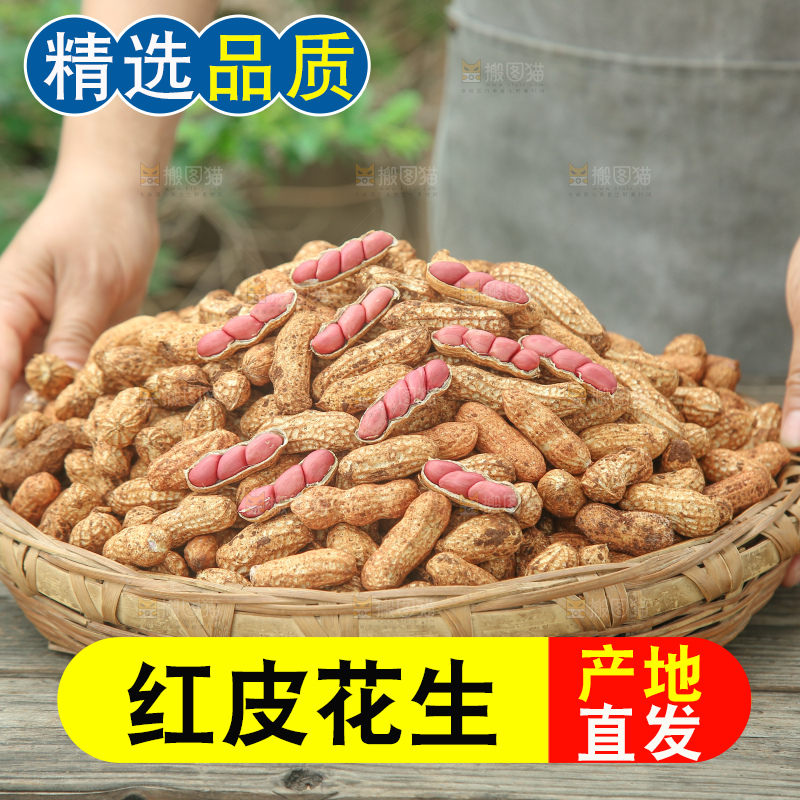红皮花生