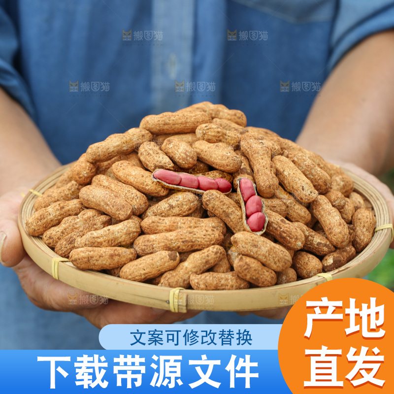红皮花生