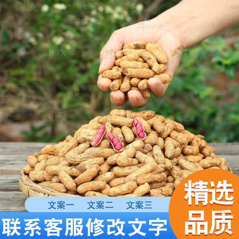 红皮花生