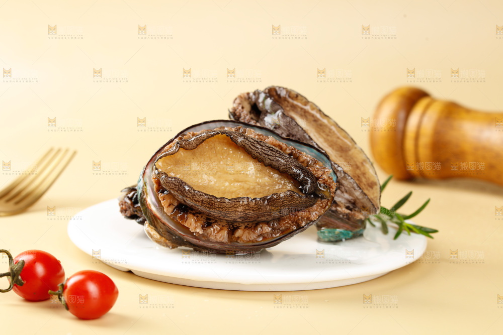 鲍鱼