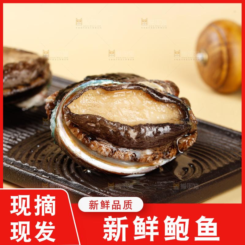 鲍鱼